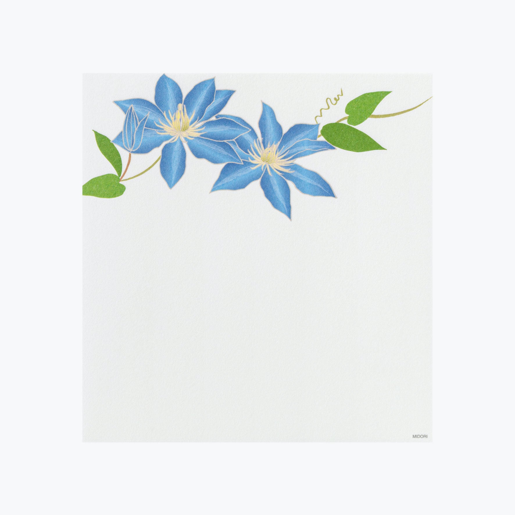 Midori - Letter Set - Kami - Summer Flowers