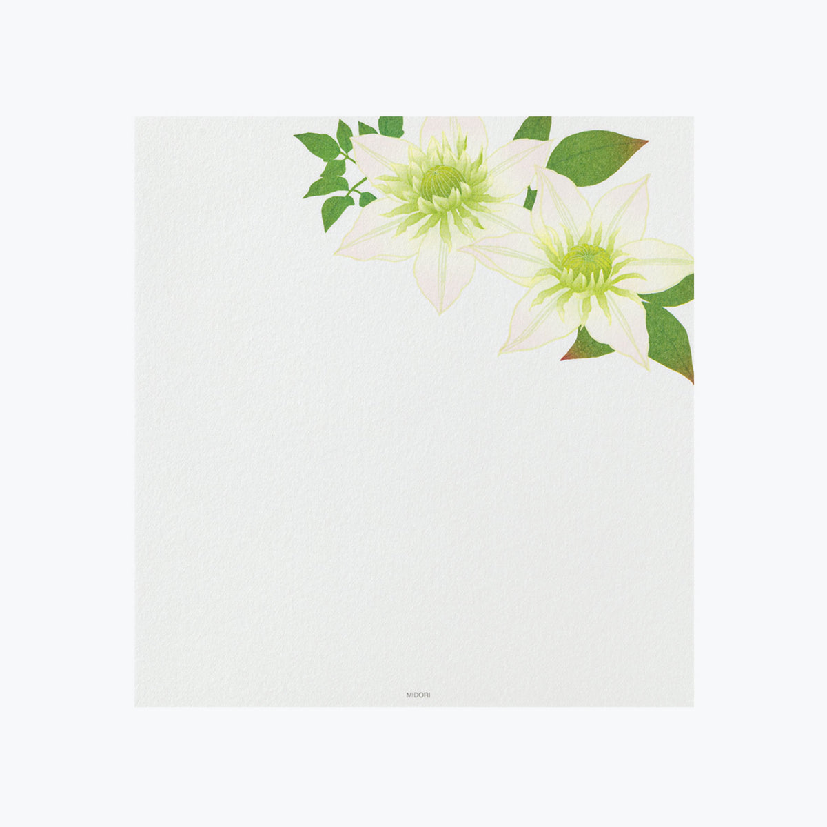 Midori - Letter Set - Kami - Summer Flowers