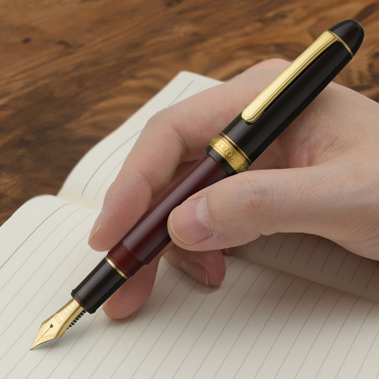 Platinum - Fountain Pen Set - #3776 Century - My Favorite Things - Coffee Jelly