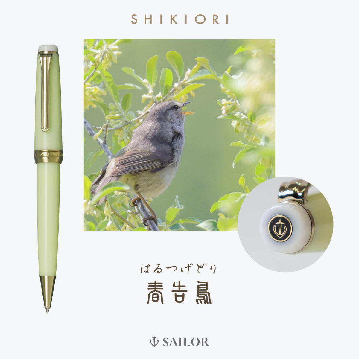 Sailor - Ballpoint Pen - Shikiori (Noyama-no-uta) - Haru-tsuge-dori