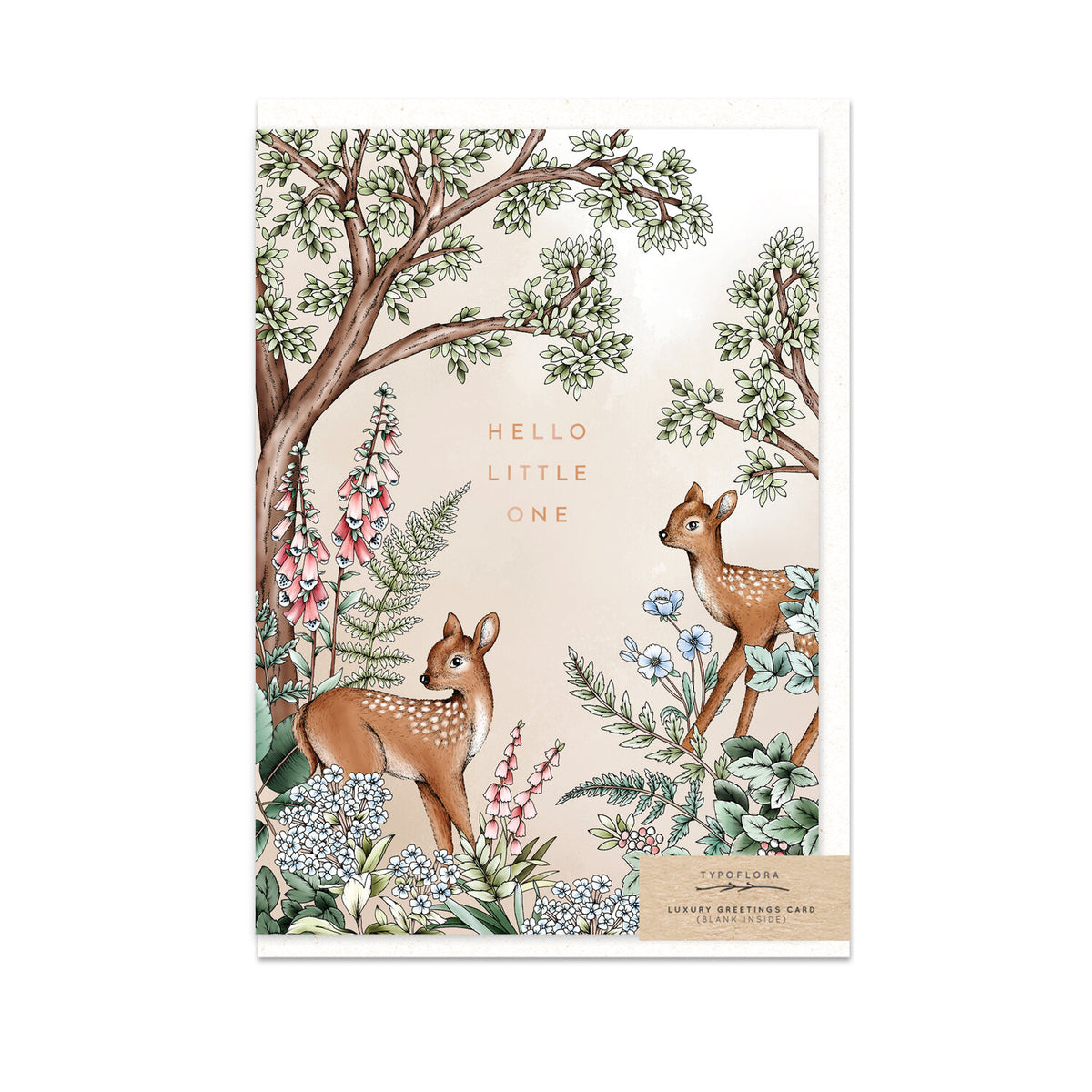 Typoflora card featuring a 'Hello little one' message and cute deer illustration on the front