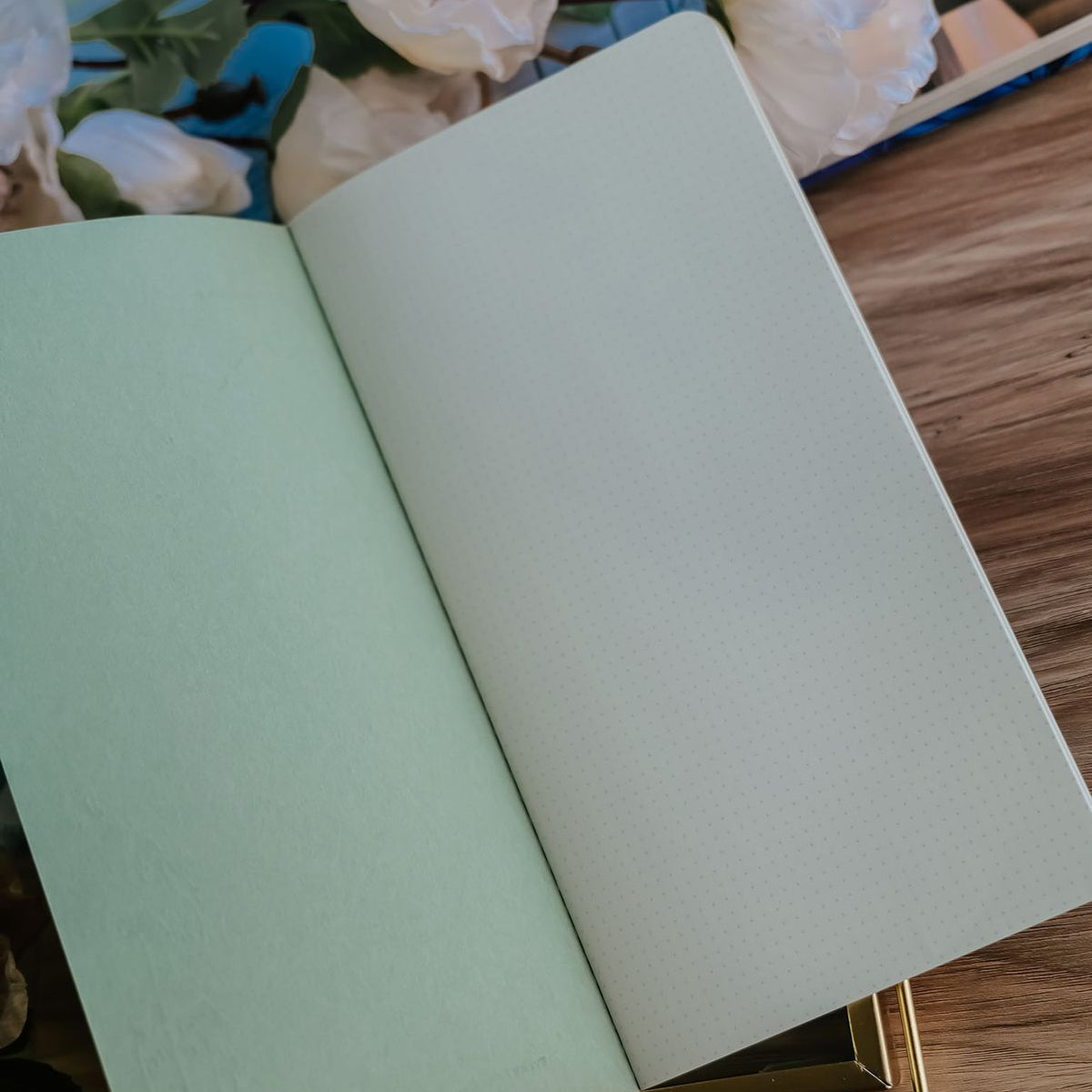 Meow Illustration - Notebook - H.Happy