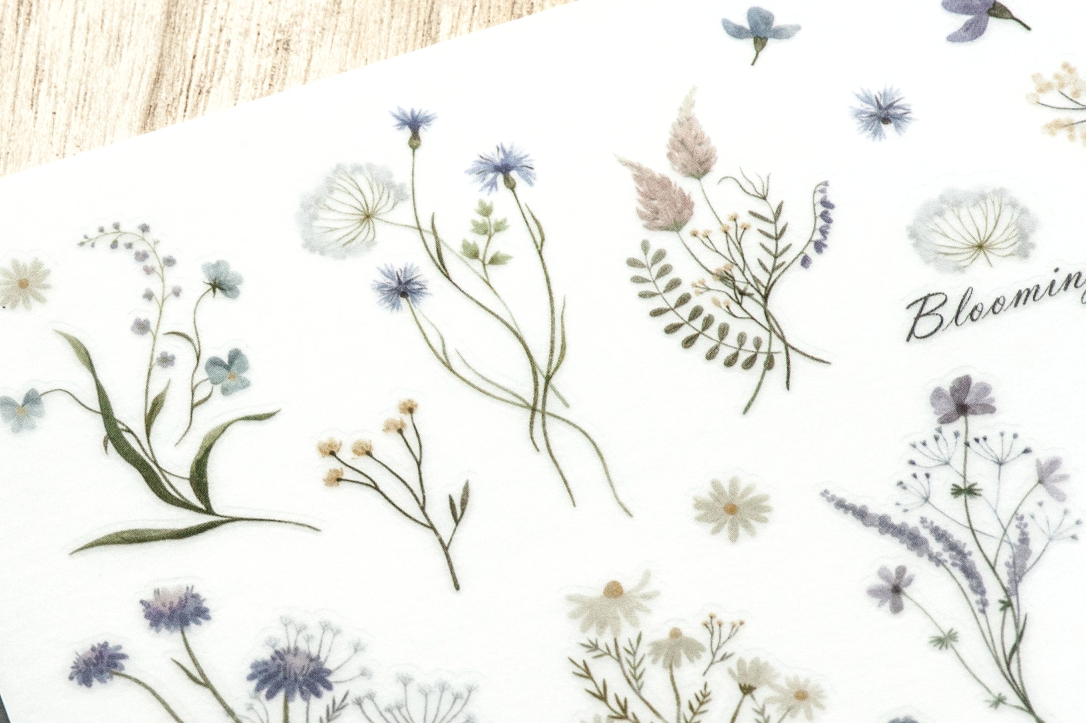 MU Lifestyle - Planner Sticker - Print On - #203 <Outgoing>