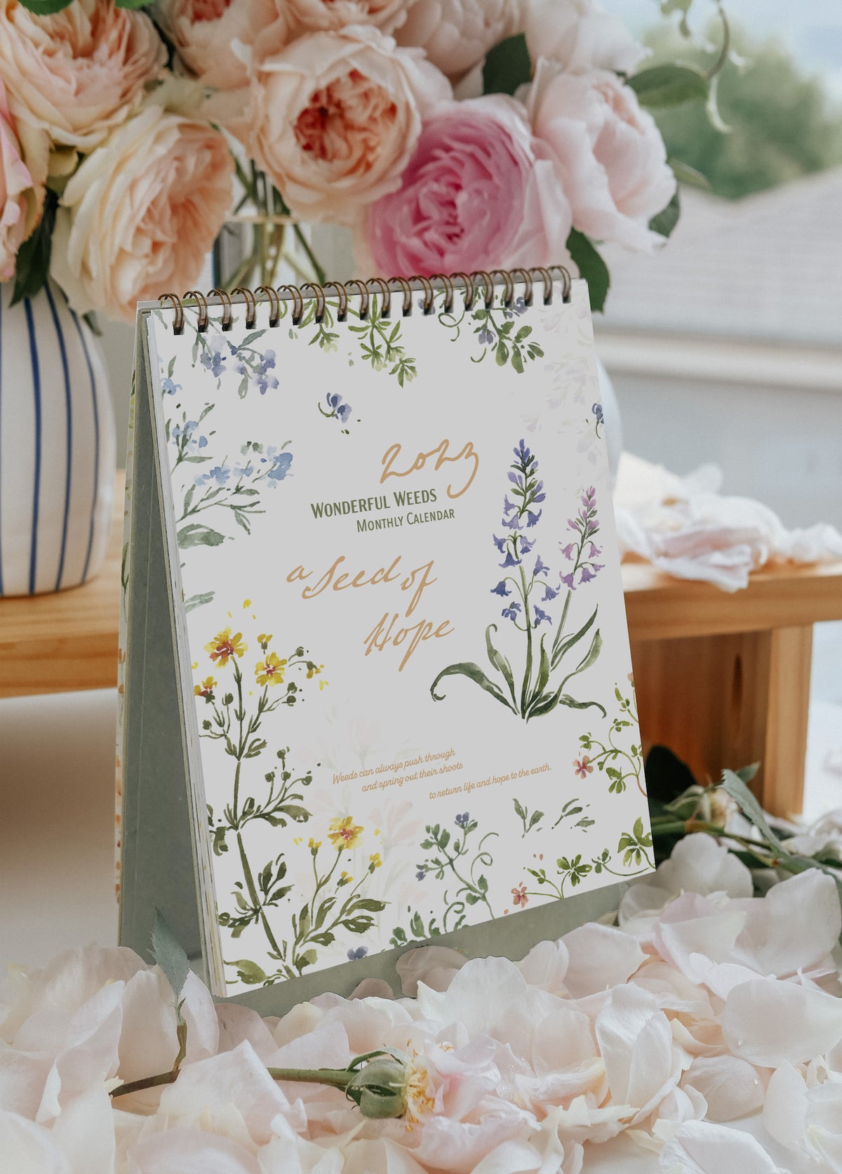 Meow Illustration - 2023 Diary - Weekly Planner - A Seed of Hope