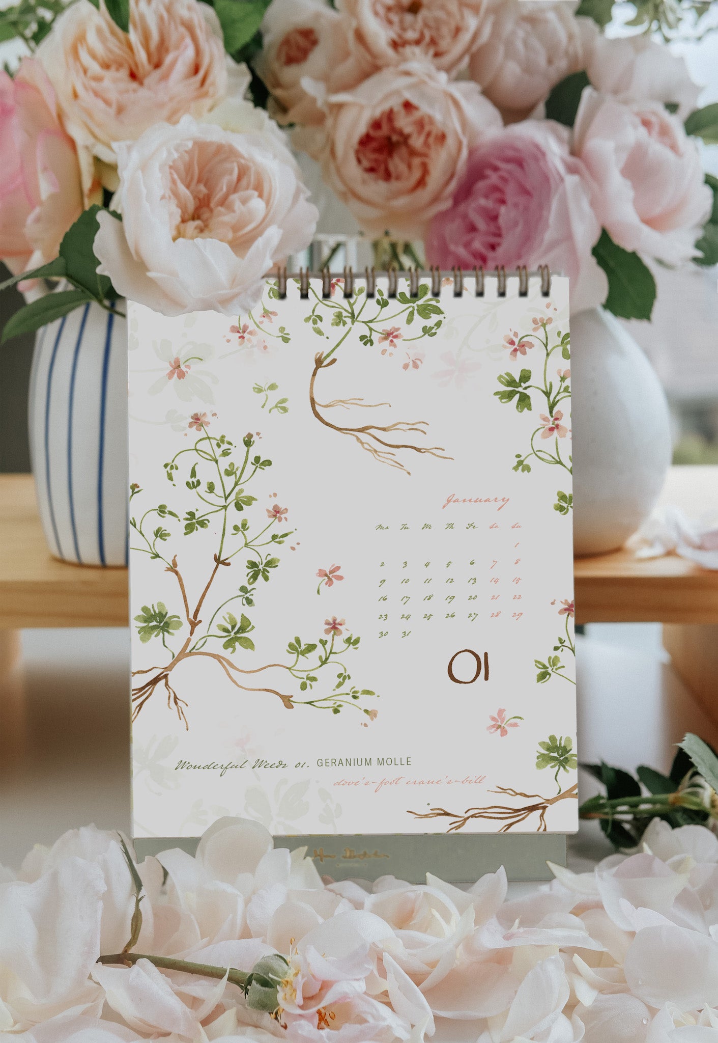 Meow Illustration - 2023 Diary - Weekly Planner - A Seed of Hope