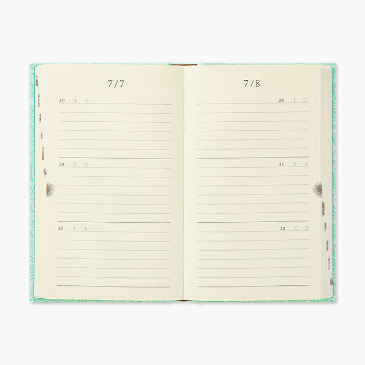 Midori - Daily Journal - Kyo-ori - 3 Years <Outgoing>