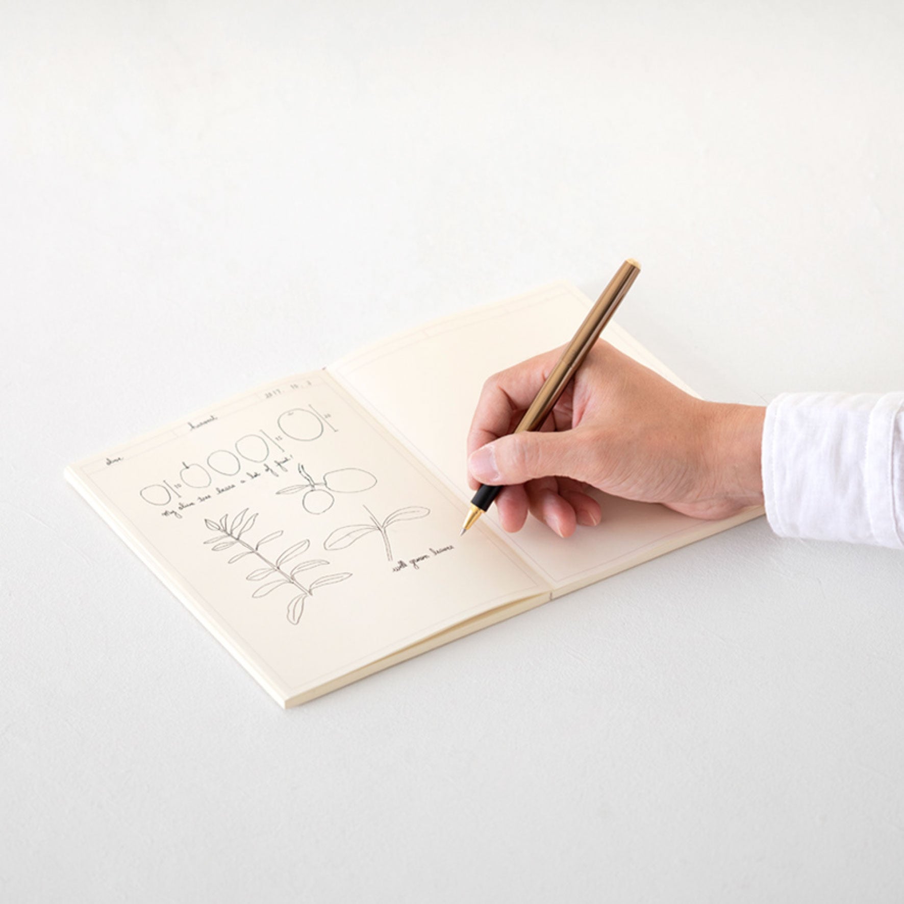 Midori - Notebook - MD Paper - A5 - Frame