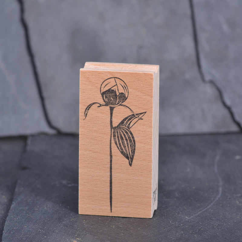 Stempel Jazz - Stamp - Peony Bud
