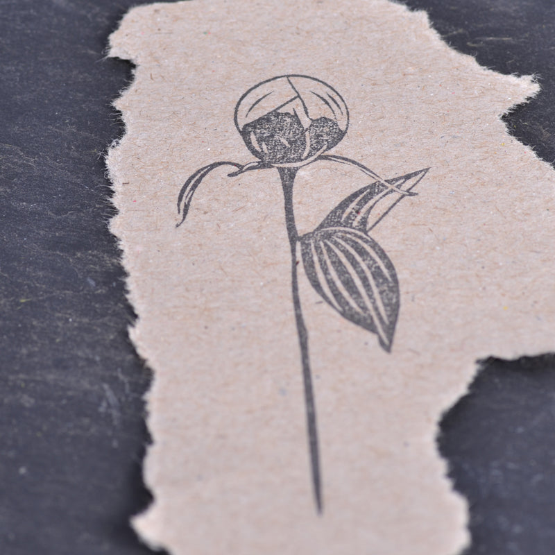 Stempel Jazz - Stamp - Peony Bud