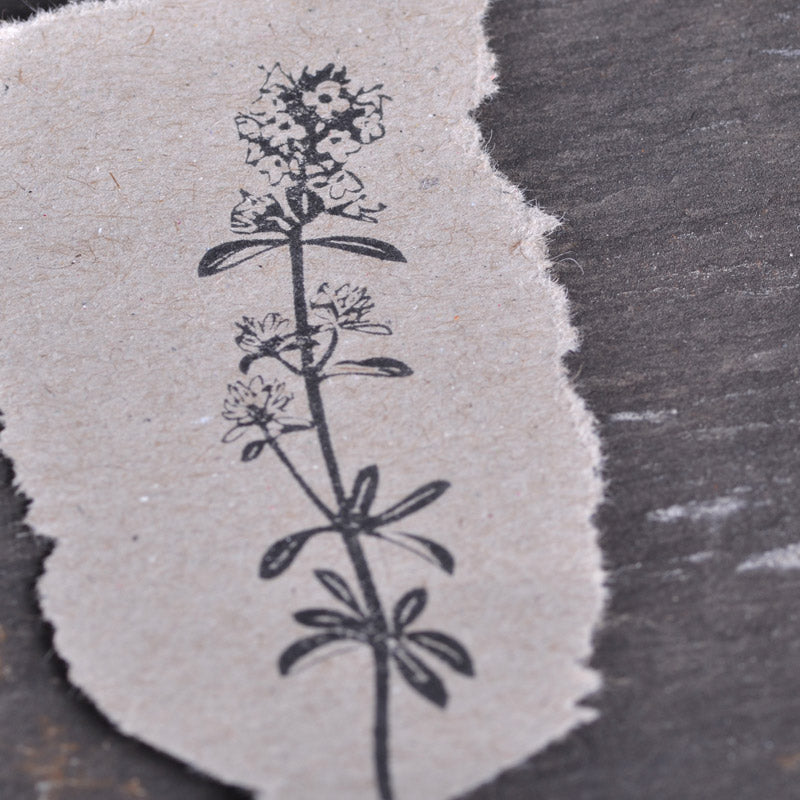 Stempel Jazz - Stamp - Wild Oregano