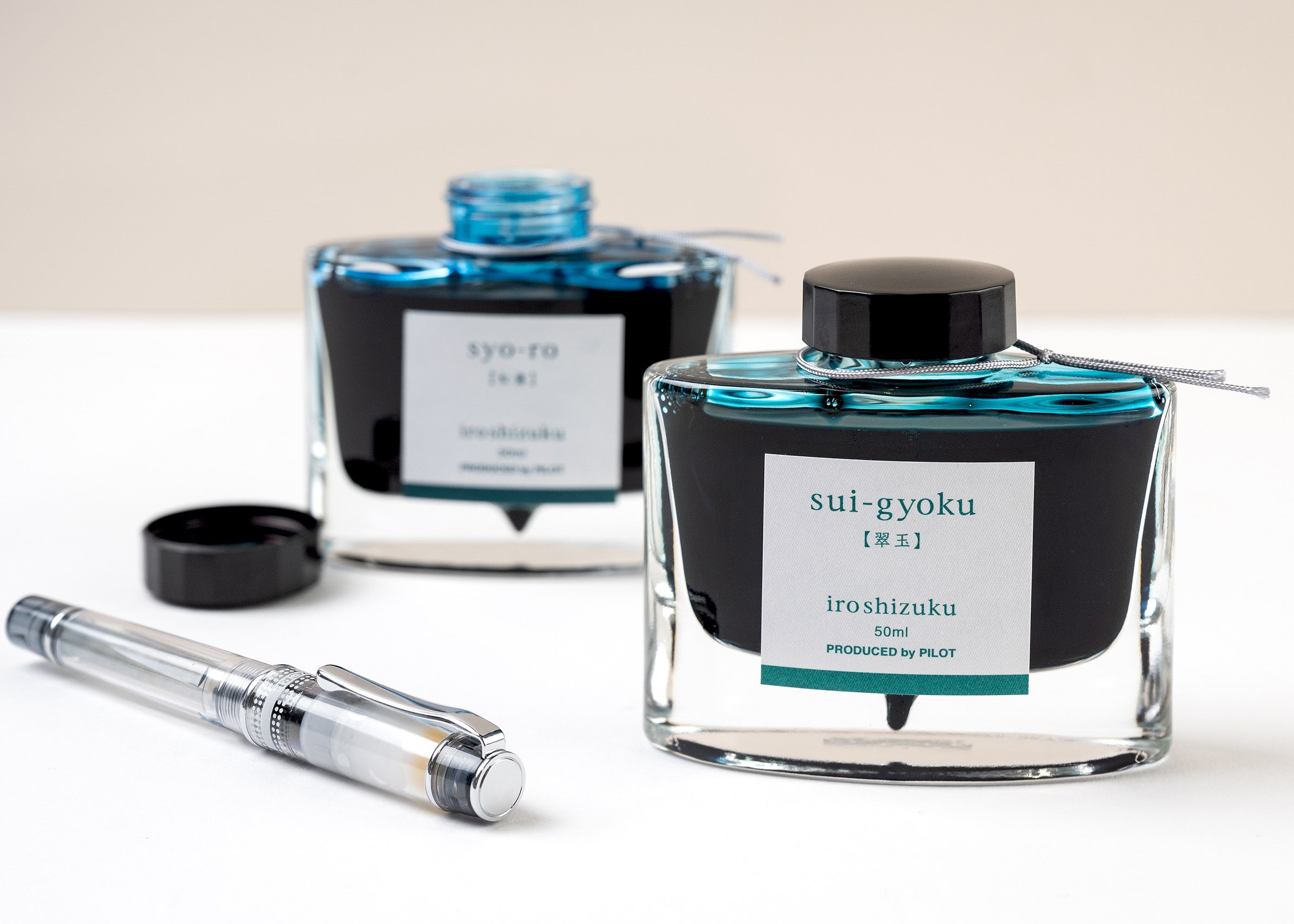 Introduction to Pilot Inks - Bookbinders Design Australia