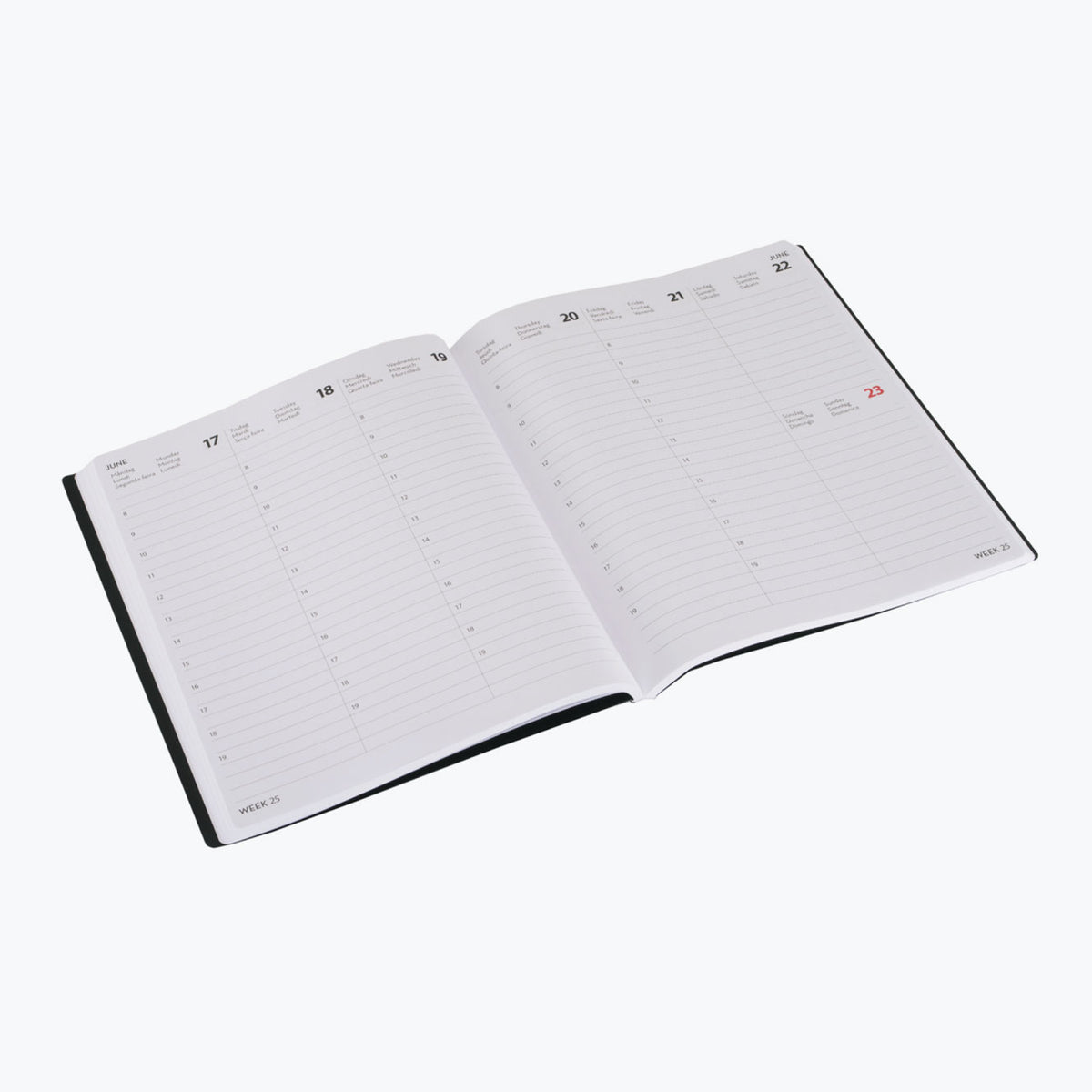 Bookbinders Design - 2024 Diary - Leather Insert - Regular