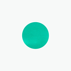 Herbin - Fountain Pen Ink - Collectors Bottle (100ml) - Vert Réséda