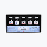 Herbin - Fountain Pen Ink - Seasonal Set - Winter