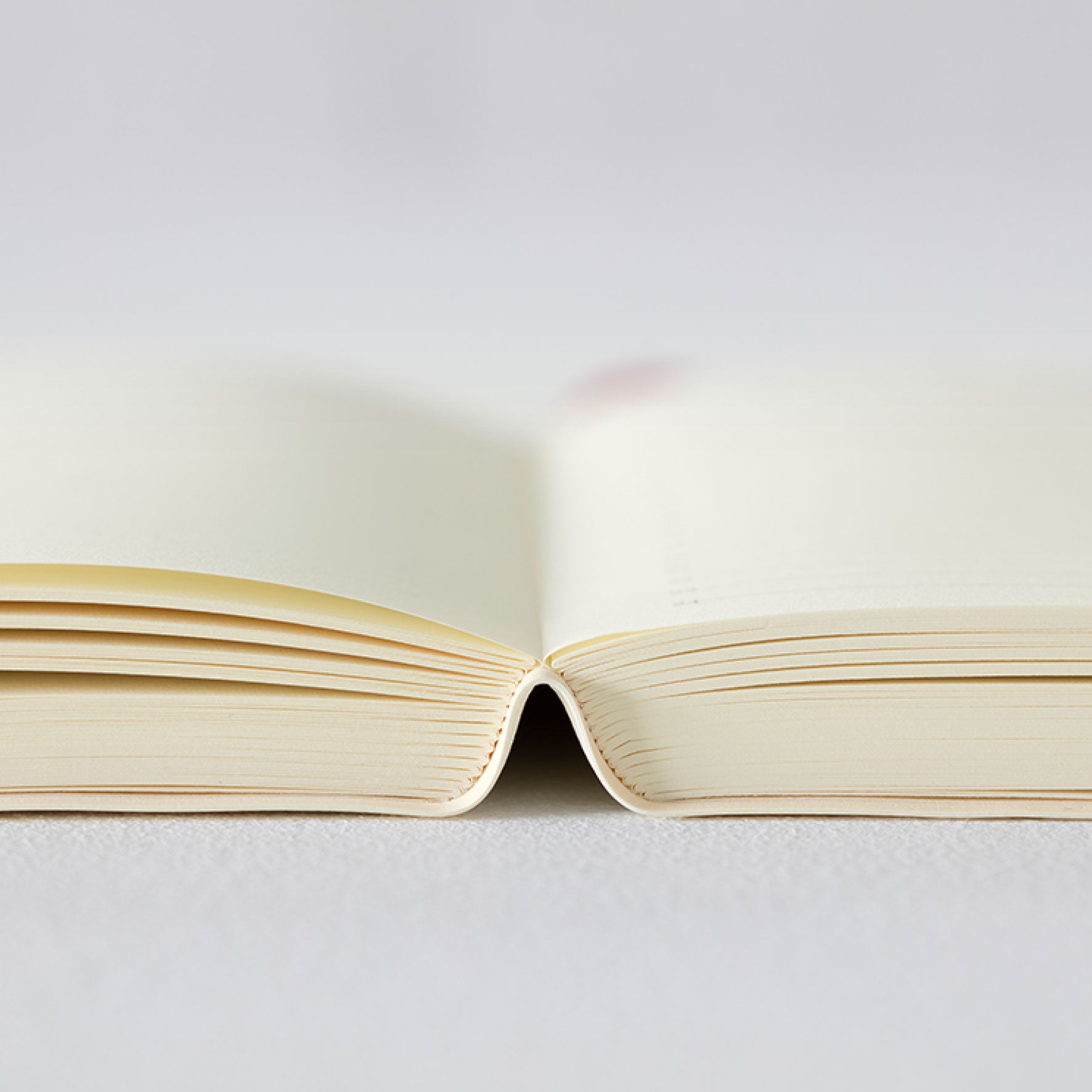 Midori - 2026 Diary - MD 1Day 1Page - A6