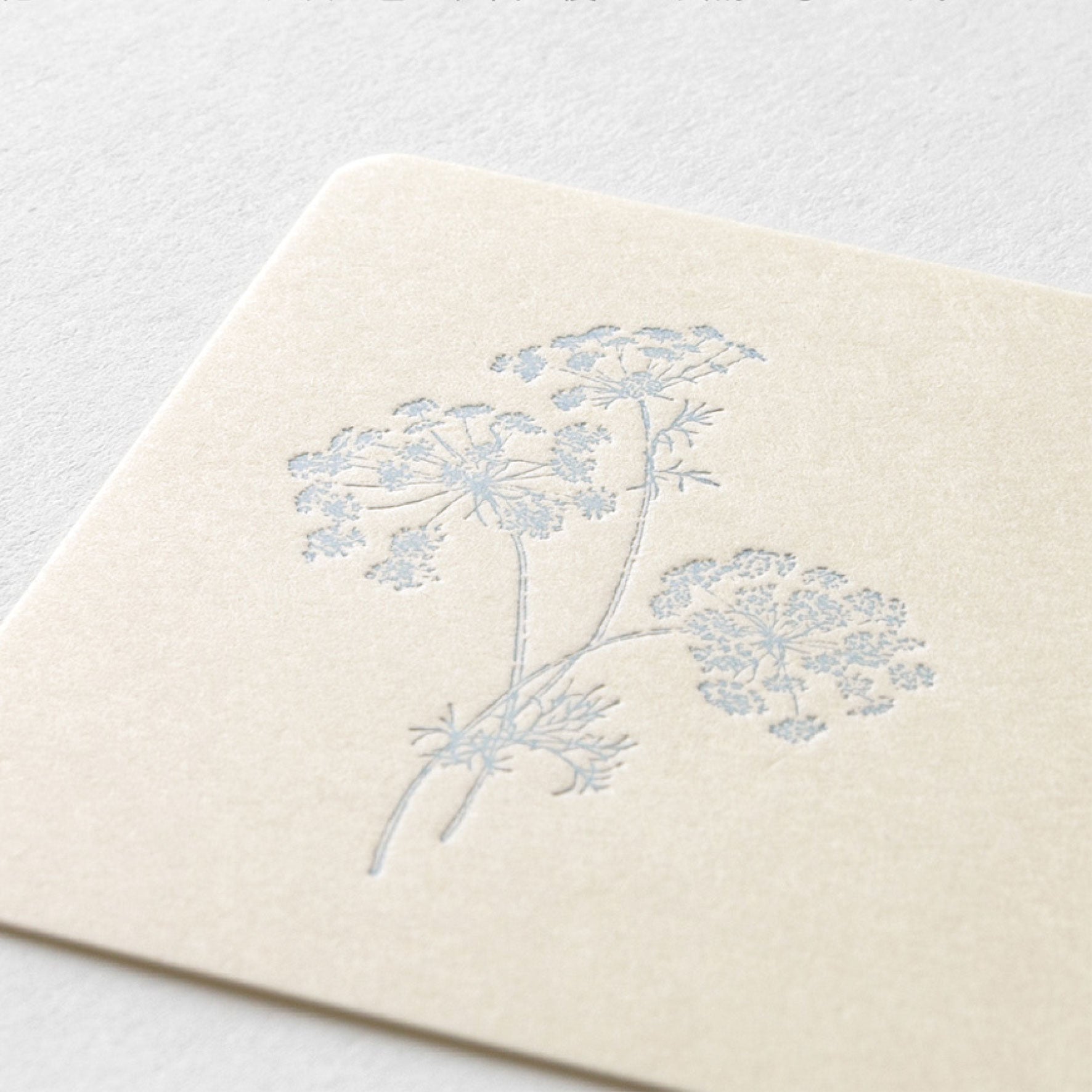 Midori - Card Set - Hanairo Washi - White