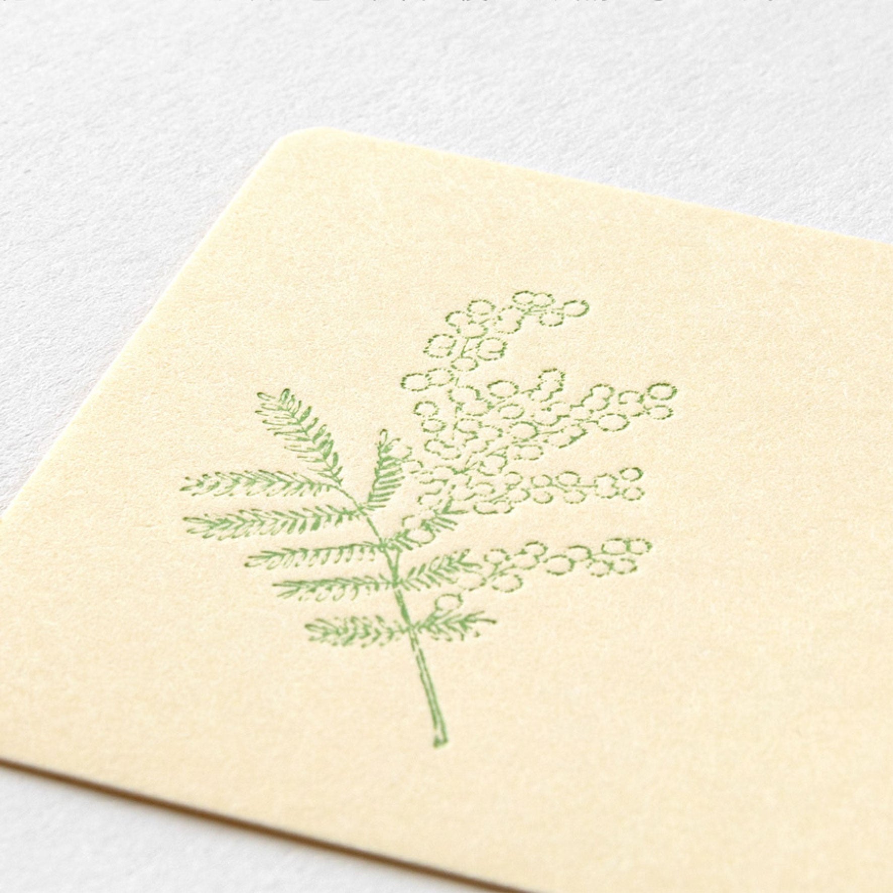 Midori - Card Set - Hanairo Washi - Yellow