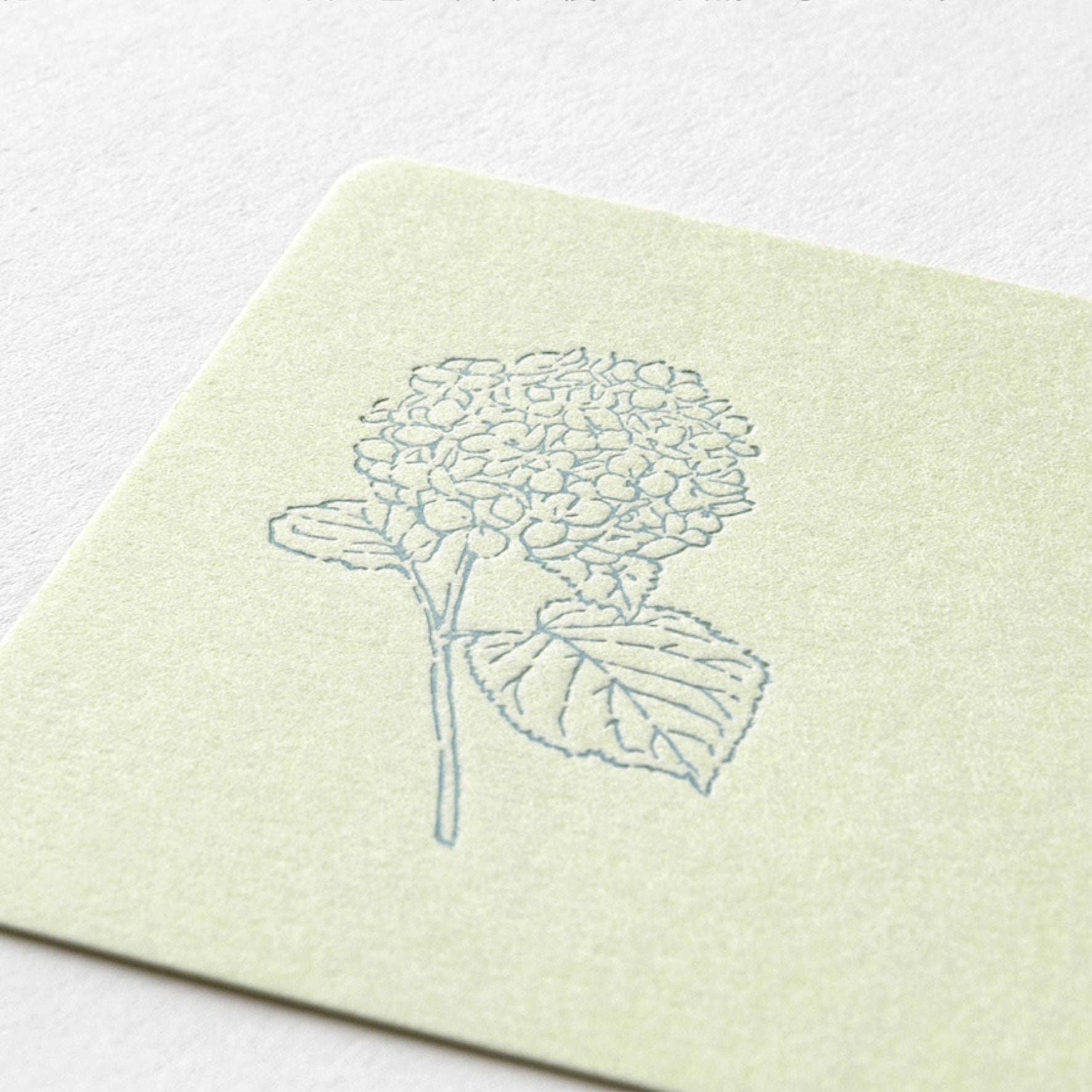 Midori - Card Set - Hanairo Washi - Green