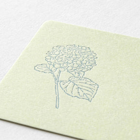 Midori - Card Set - Hanairo Washi - Green