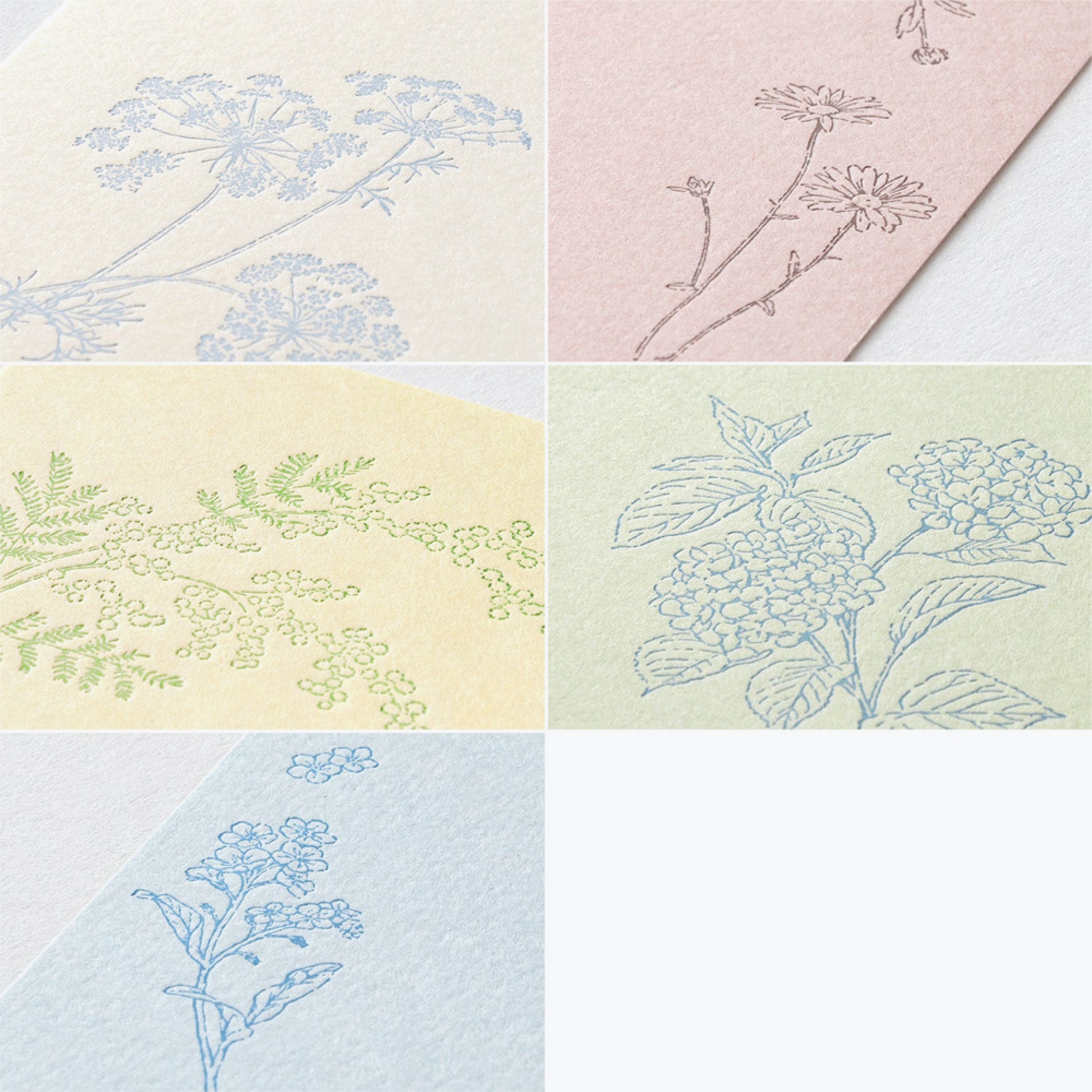 Midori - Postcard Set - Hanairo Washi - 5 Colours