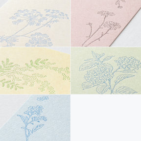 Midori - Postcard Set - Hanairo Washi - 5 Colours