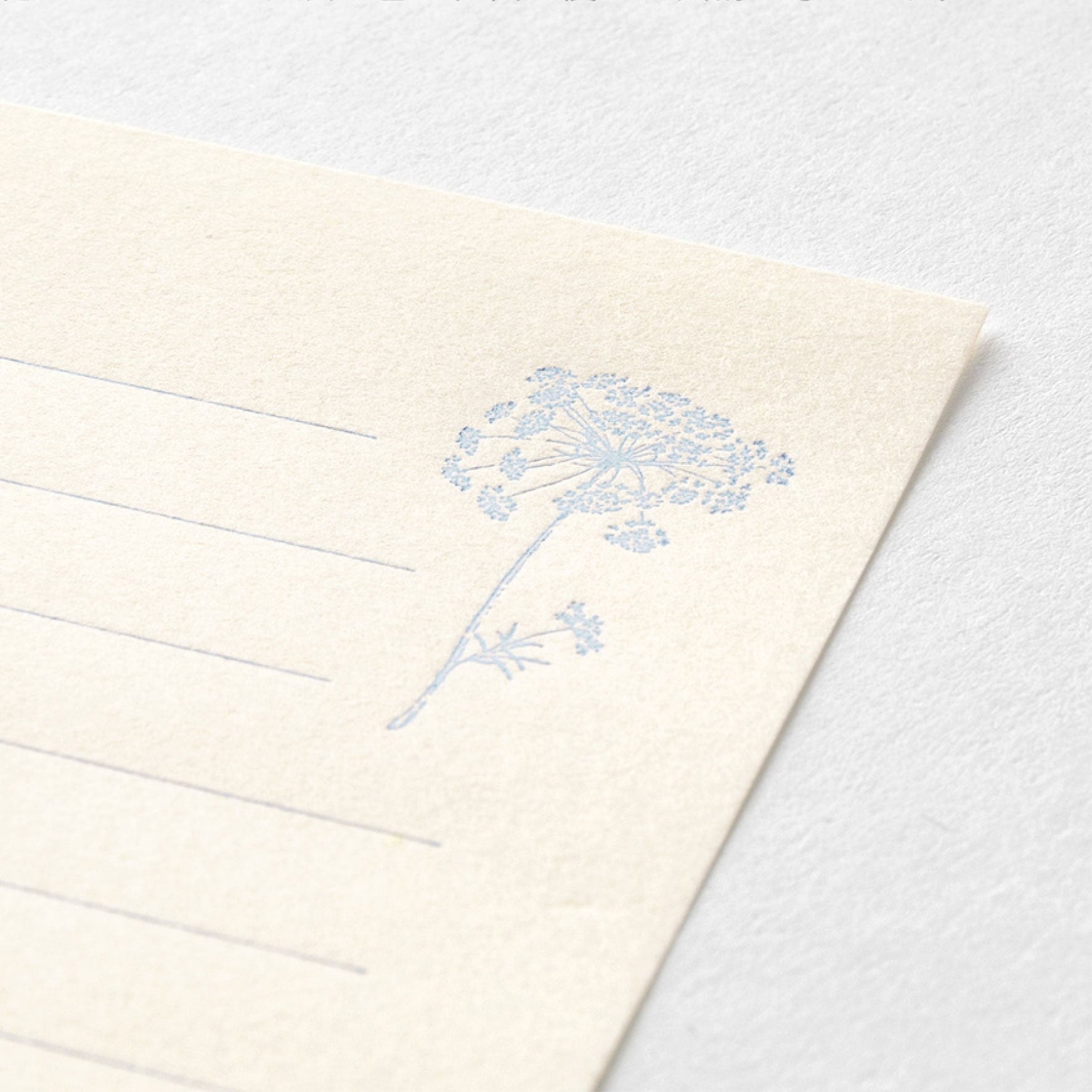 Midori - Letter Set - Hanairo Washi - White