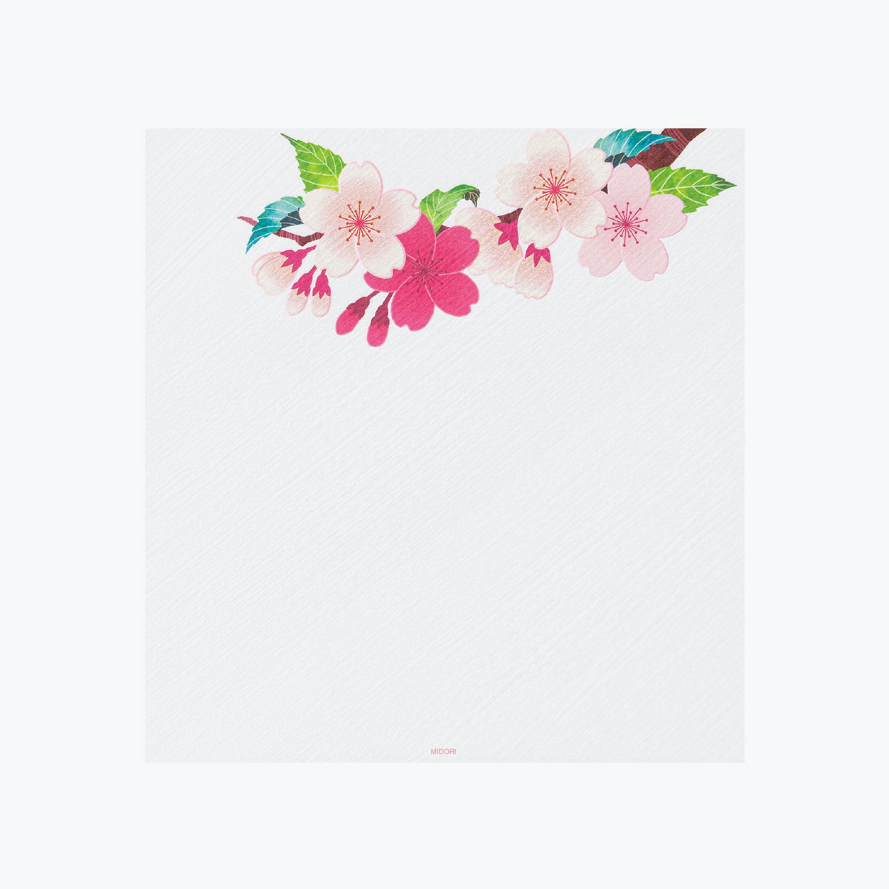 Midori - Letter Set - Kami - Cherry Blossom