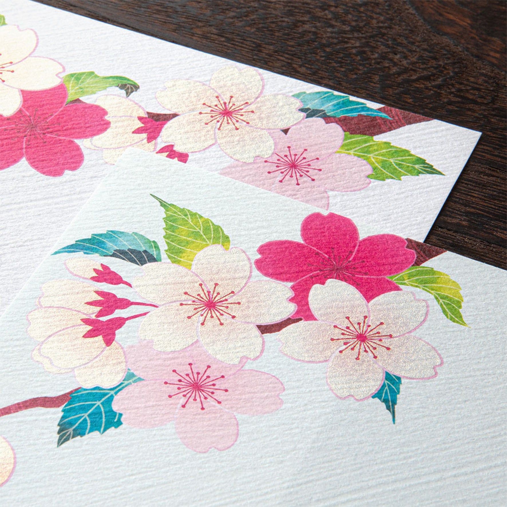 Midori - Letter Set - Kami - Cherry Blossom