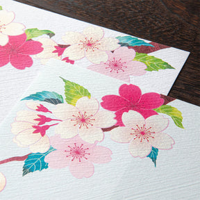 Midori - Letter Set - Kami - Cherry Blossom