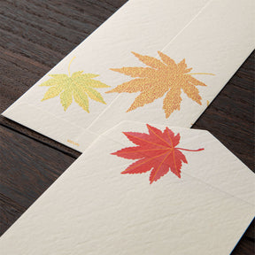 Midori - Letter Set - Kami - Fallen Leaves