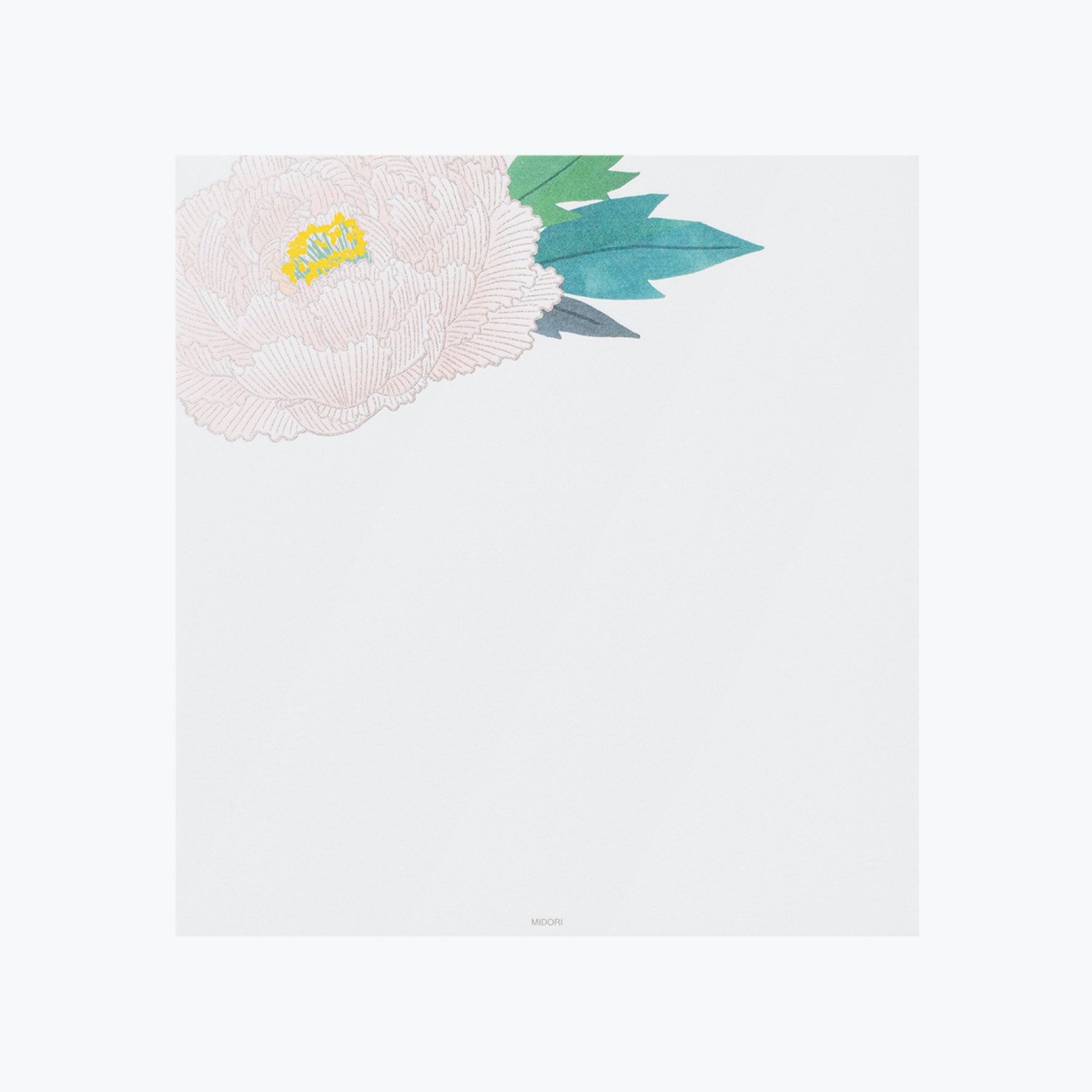 Midori - Letter Set - Kami - Winter Peony