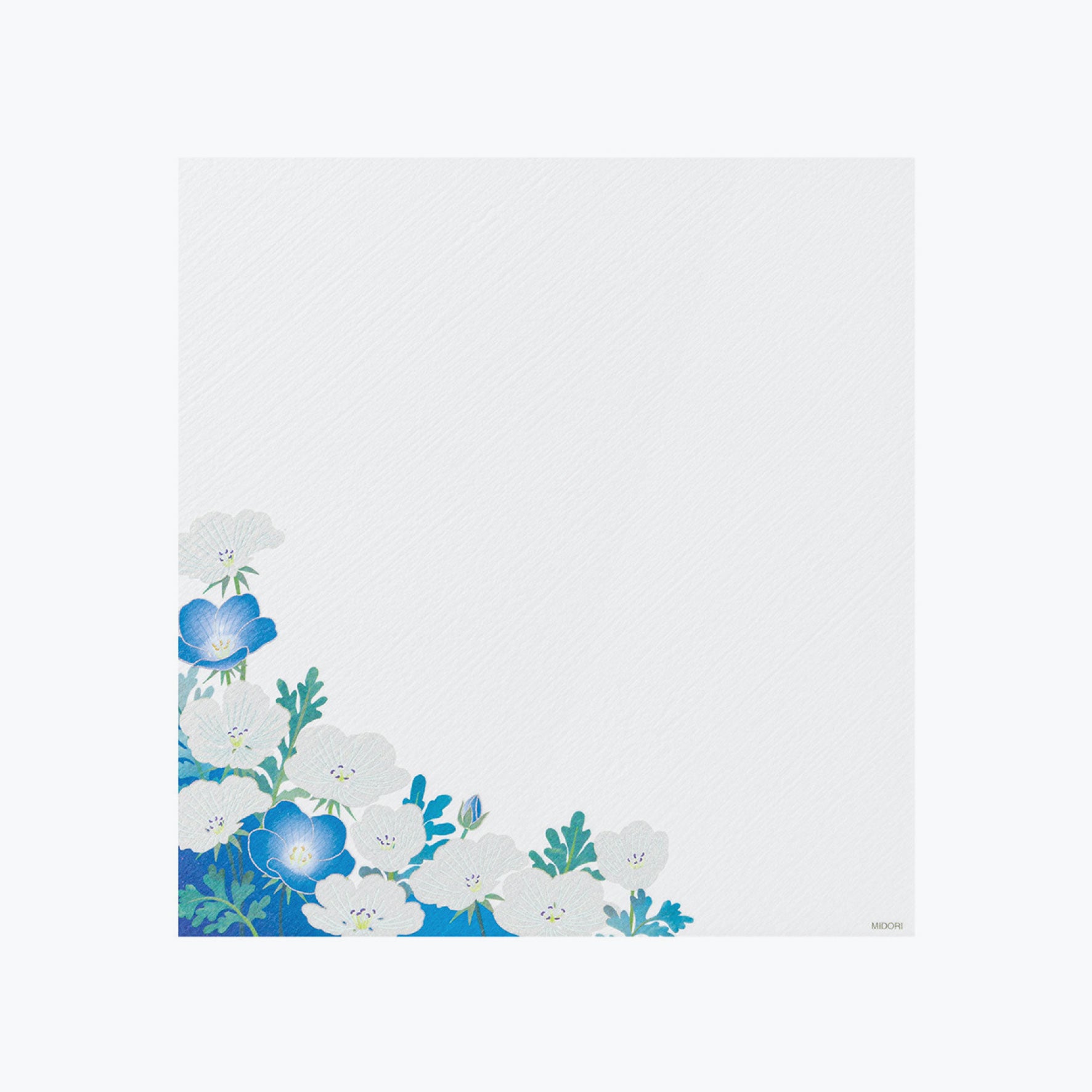 Midori - Letter Set - Kami - Nemophila