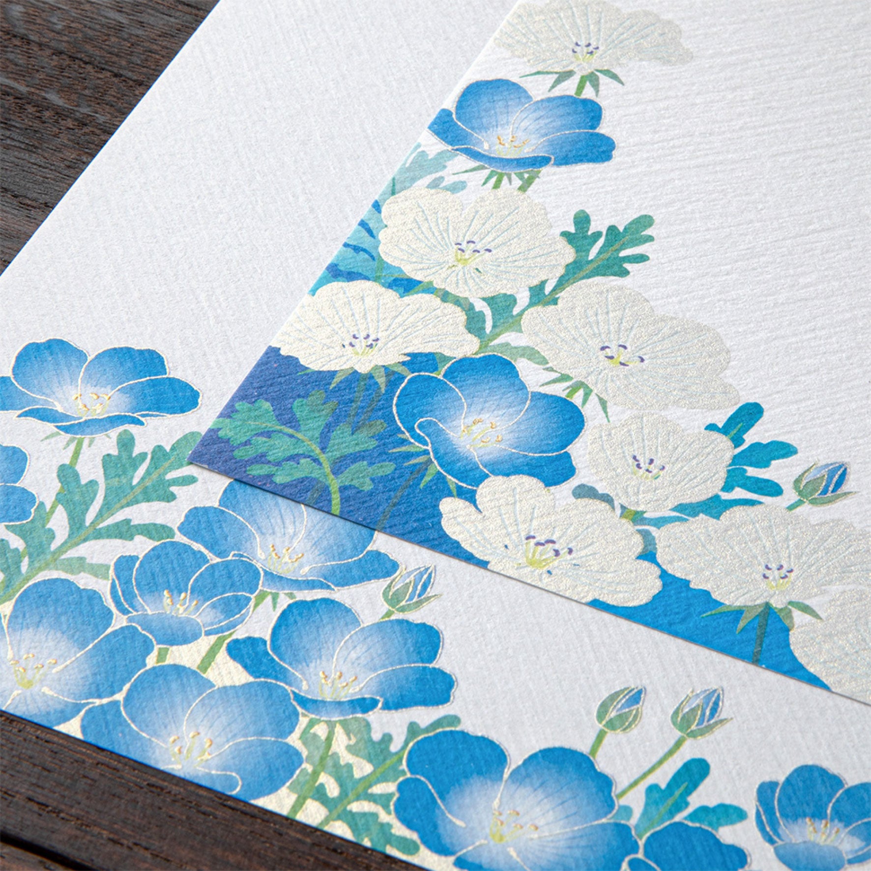 Midori - Letter Set - Kami - Nemophila