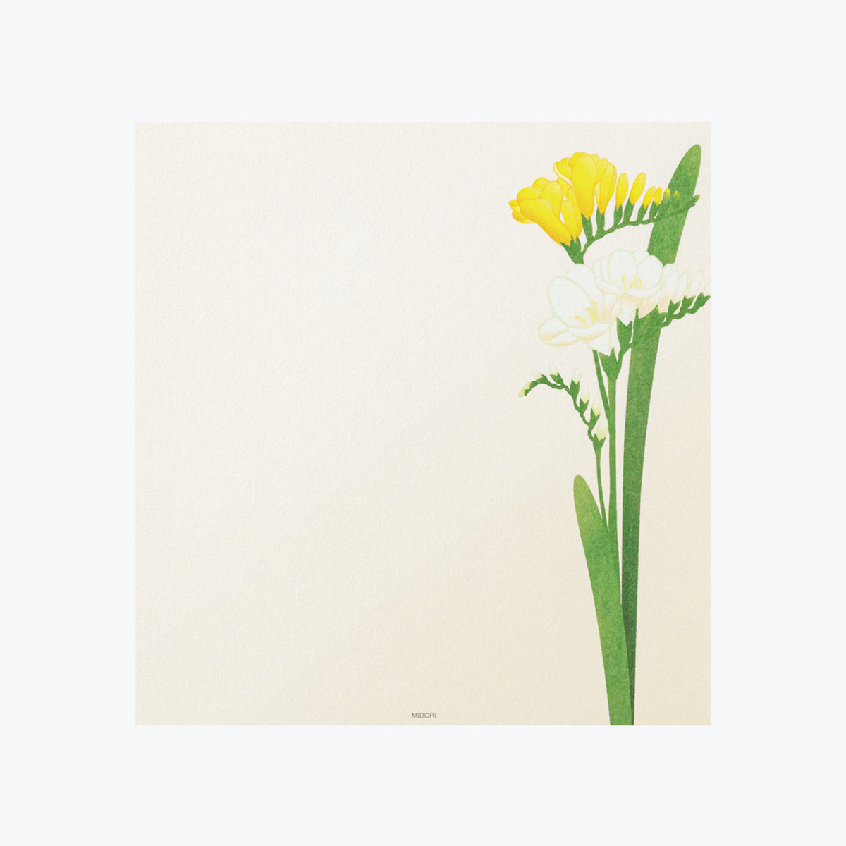 Midori - Letter Set - Kami - Spring