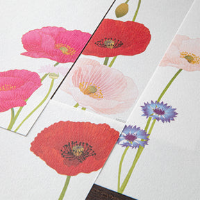 Midori - Letter Pad - Kami - Poppy