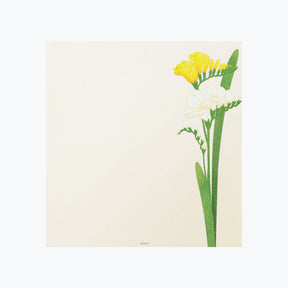 Midori - Letter Set - Kami - Spring