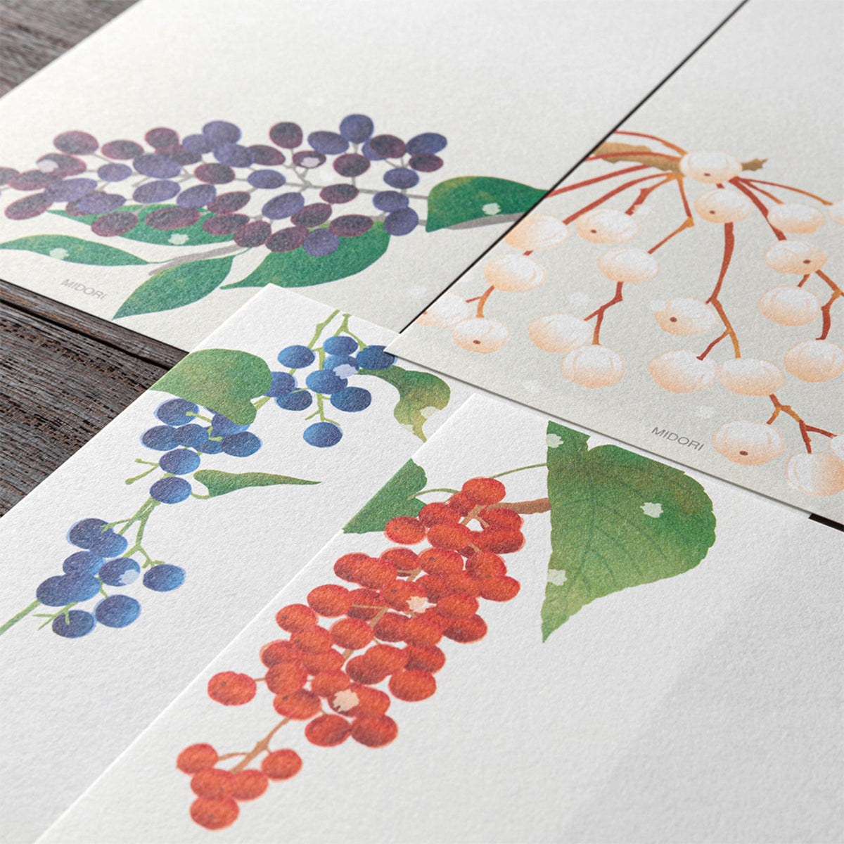 Midori - Letter Pad - Kami - Winter Fruit