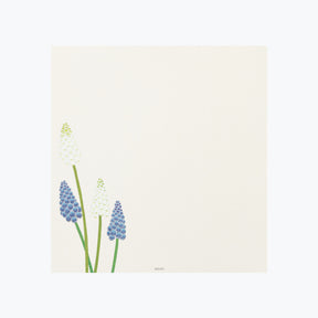 Midori - Letter Set - Kami - Spring