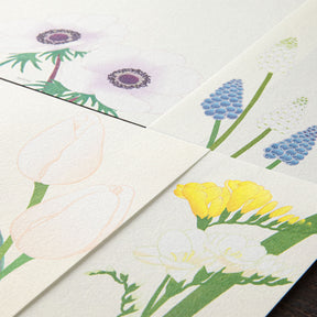 Midori - Letter Set - Kami - Spring
