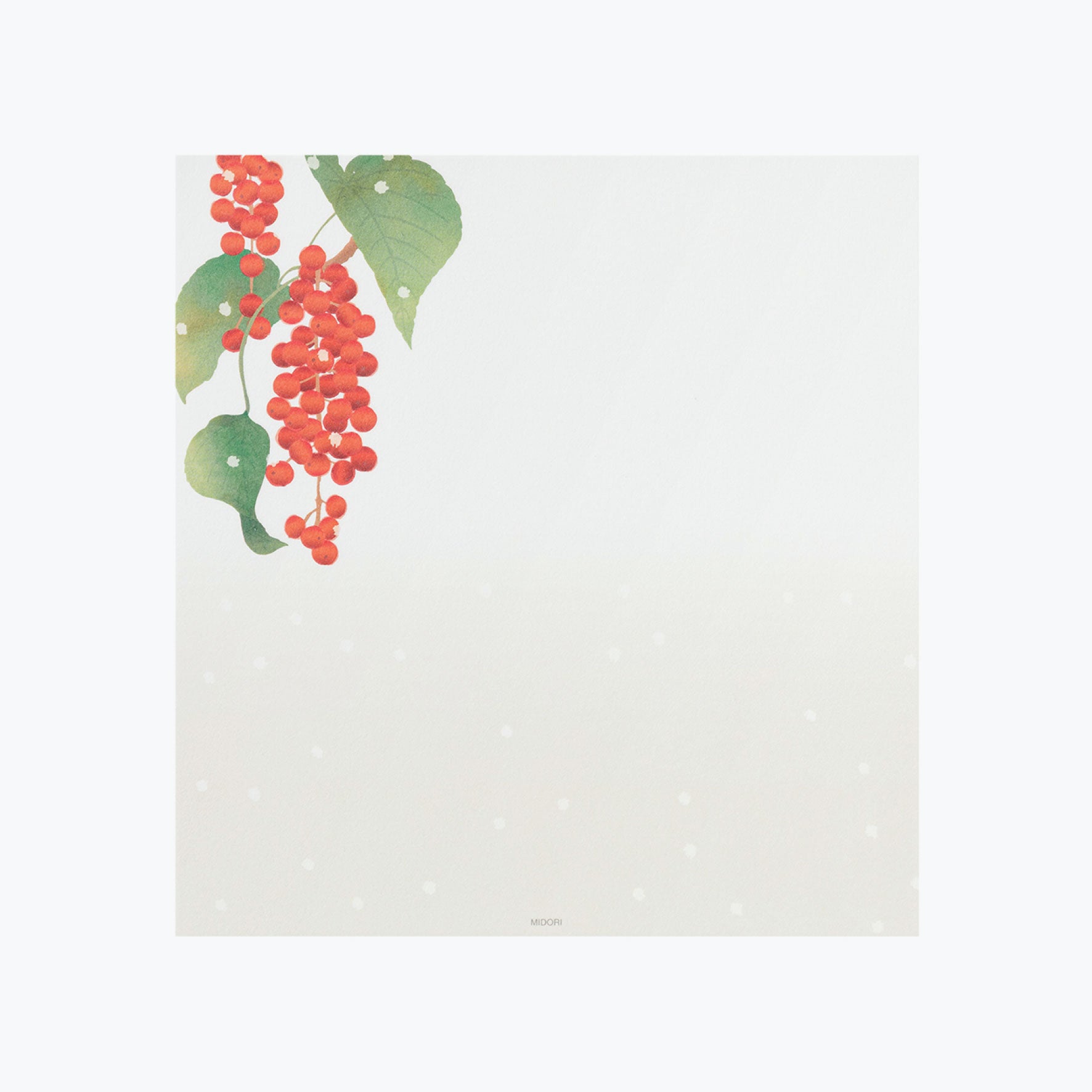 Midori - Letter Set - Kami - Winter Fruit