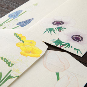 Midori - Letter Set - Kami - Spring