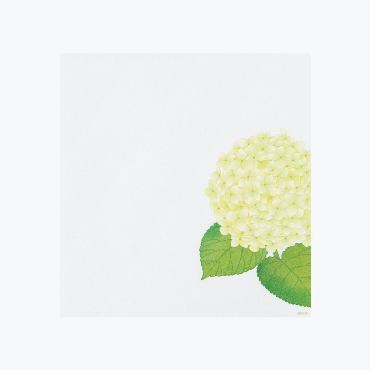 Midori - Letter Set - Kami - Hydrangea