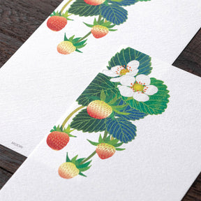 Midori - Letter Pad - Kami - Strawberry