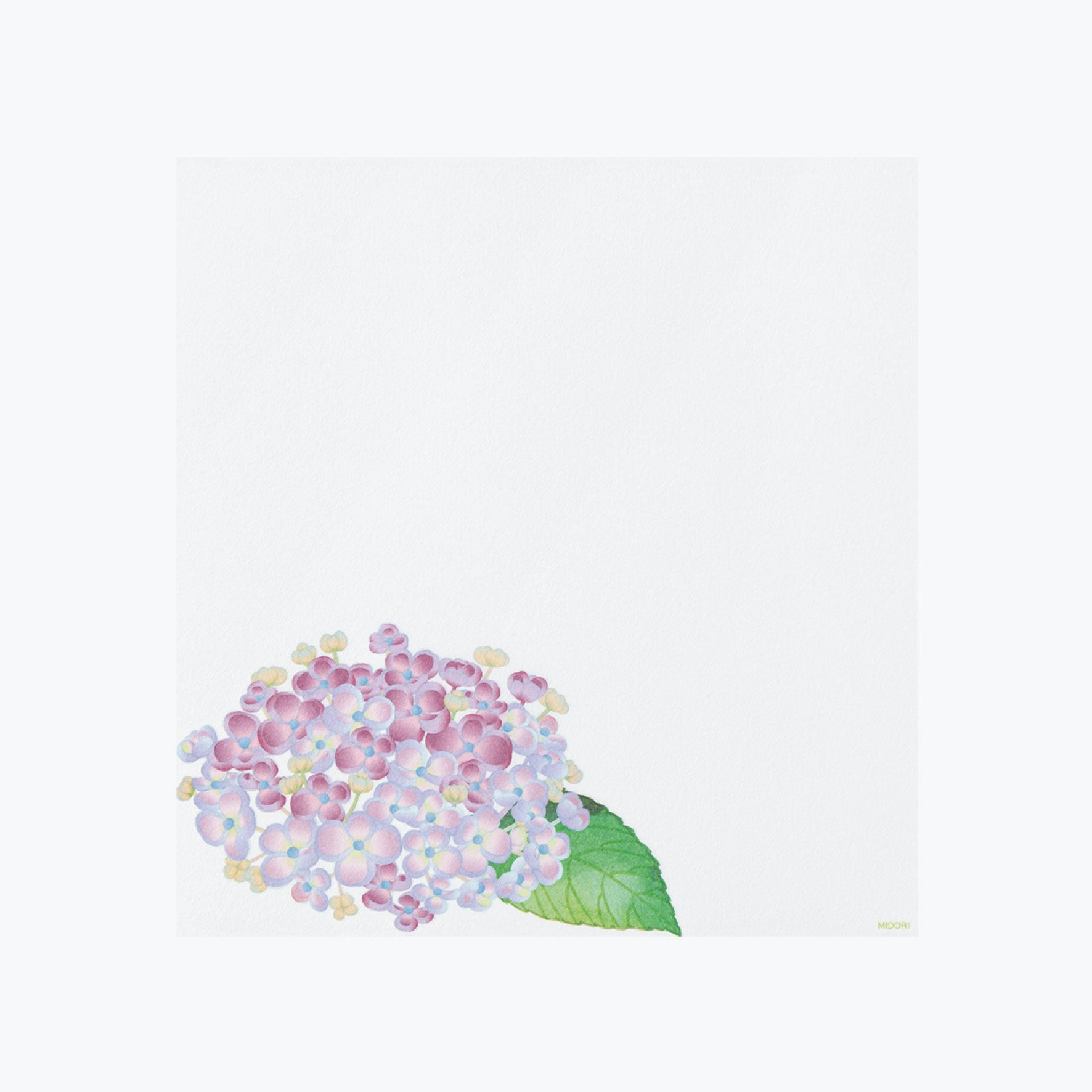 Midori - Letter Set - Kami - Hydrangea