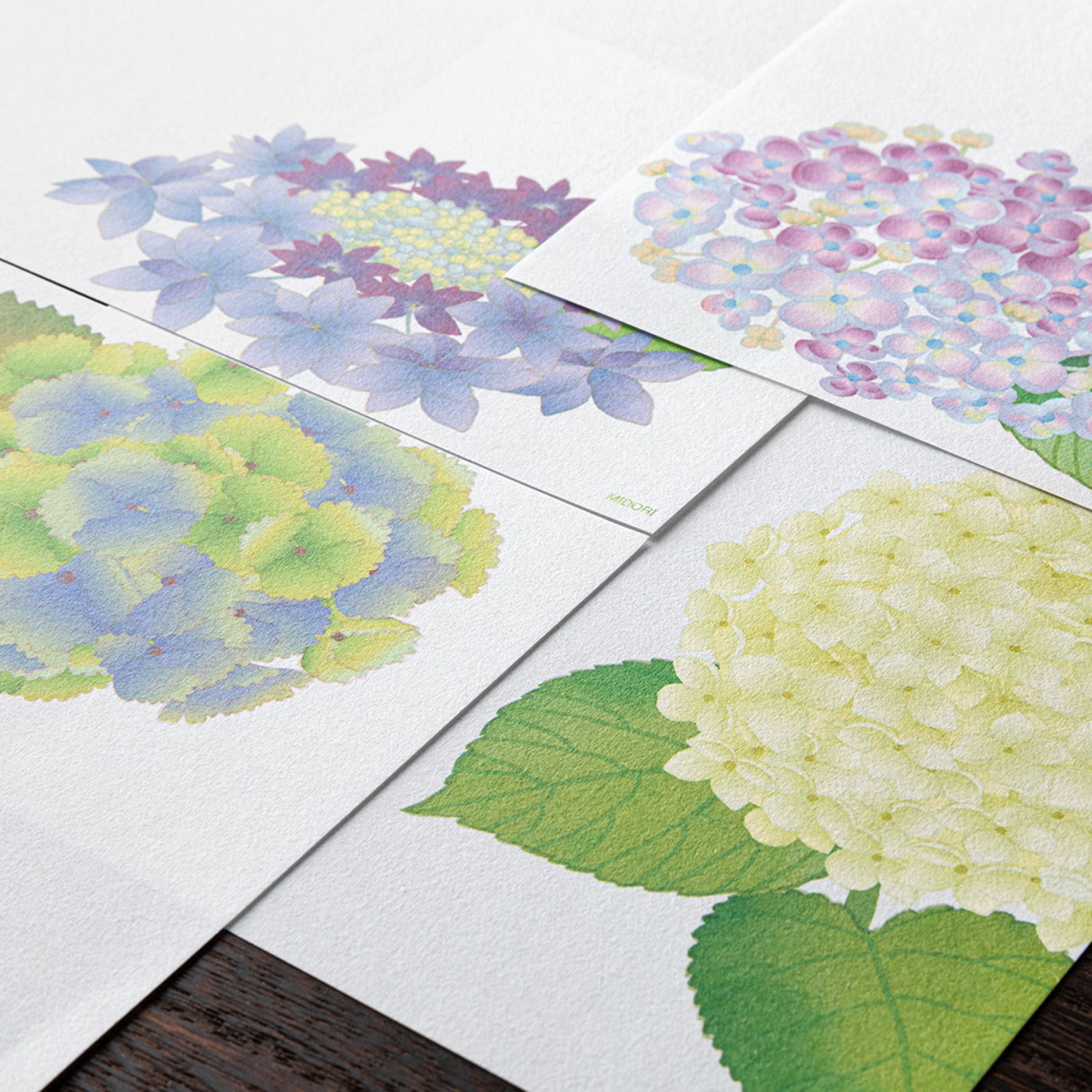 Midori - Letter Set - Kami - Hydrangea