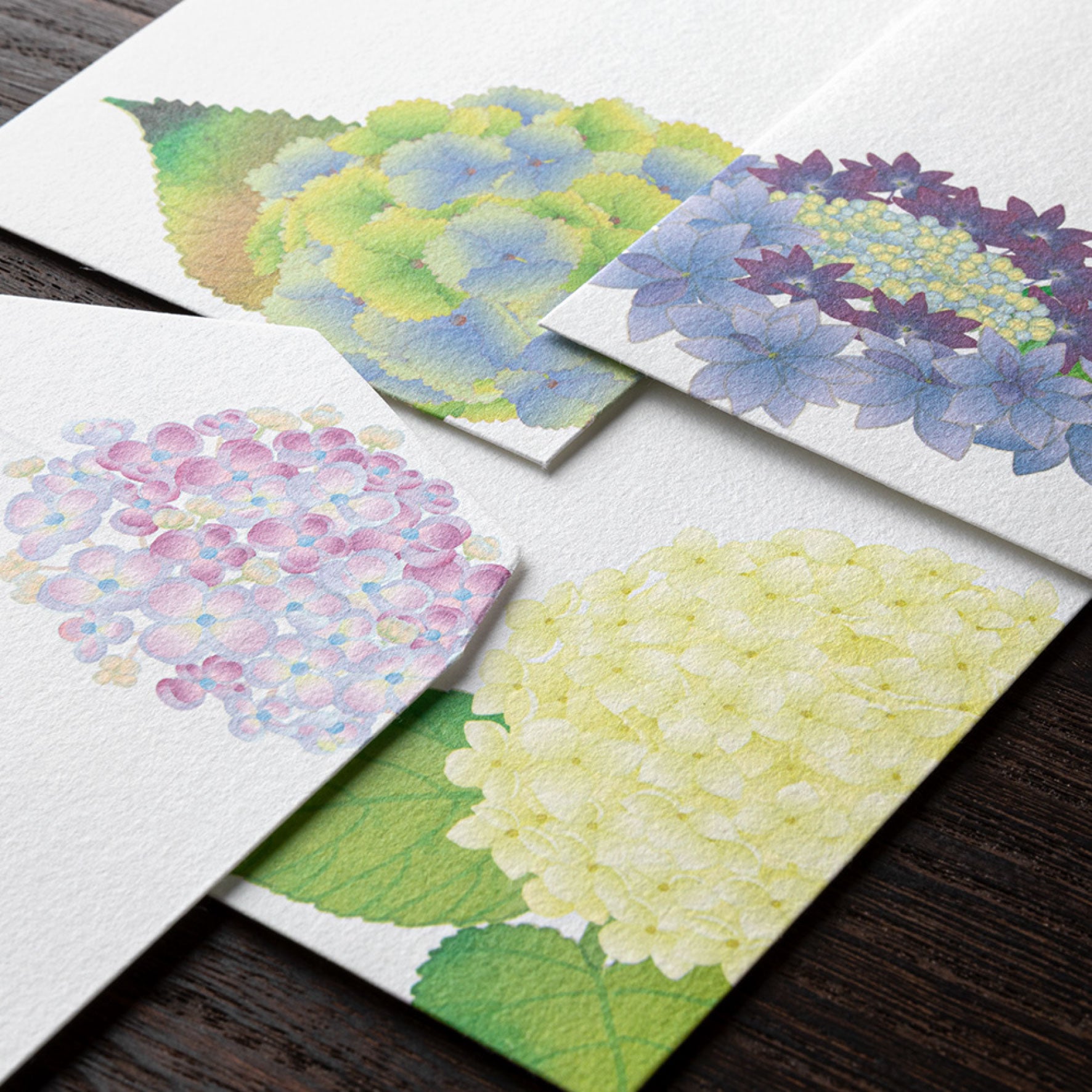 Midori - Letter Set - Kami - Hydrangea