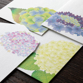 Midori - Letter Set - Kami - Hydrangea