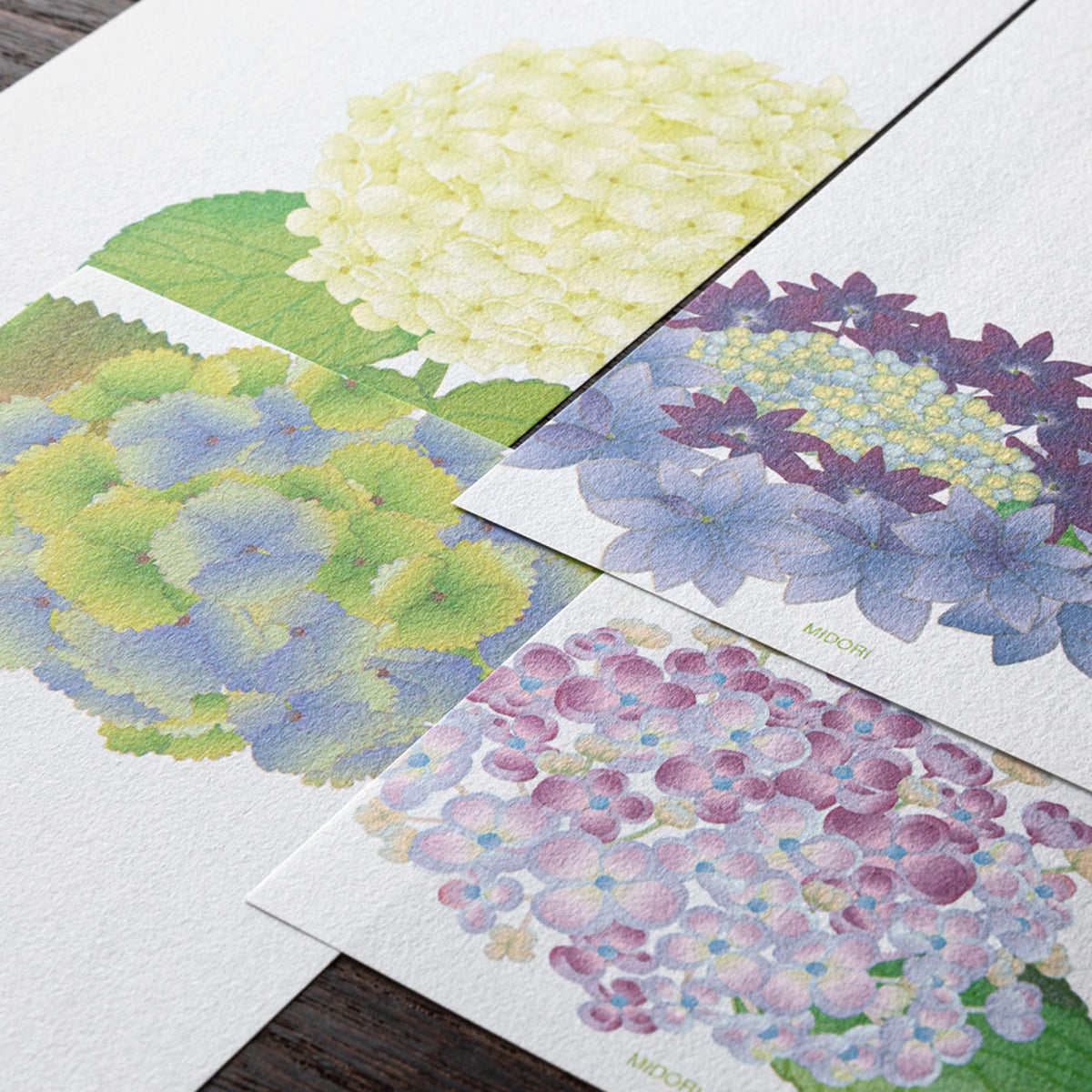 Midori - Letter Pad - Kami - Hydrangea