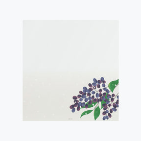 Midori - Letter Set - Kami - Winter Fruit
