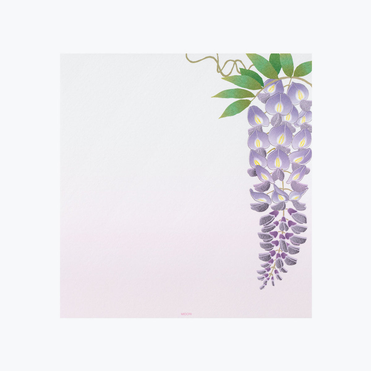 Midori - Letter Set - Kami - Wisteria